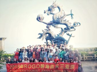 中国 Rogo Industrial (Shanghai) Co., Ltd.